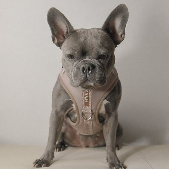 PETsRUS Premium No Pull Dog Harness 2 Leash Clips Brown Snake Leather Neoprene - Picture 6 of 8